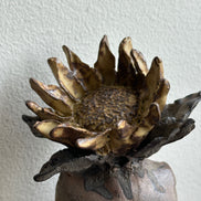 One scar flower torso
