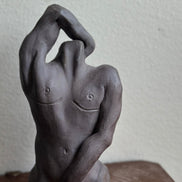 Raw Torso