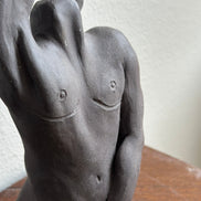 Raw Torso