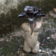 Black rose torso