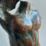 One Winged Torso