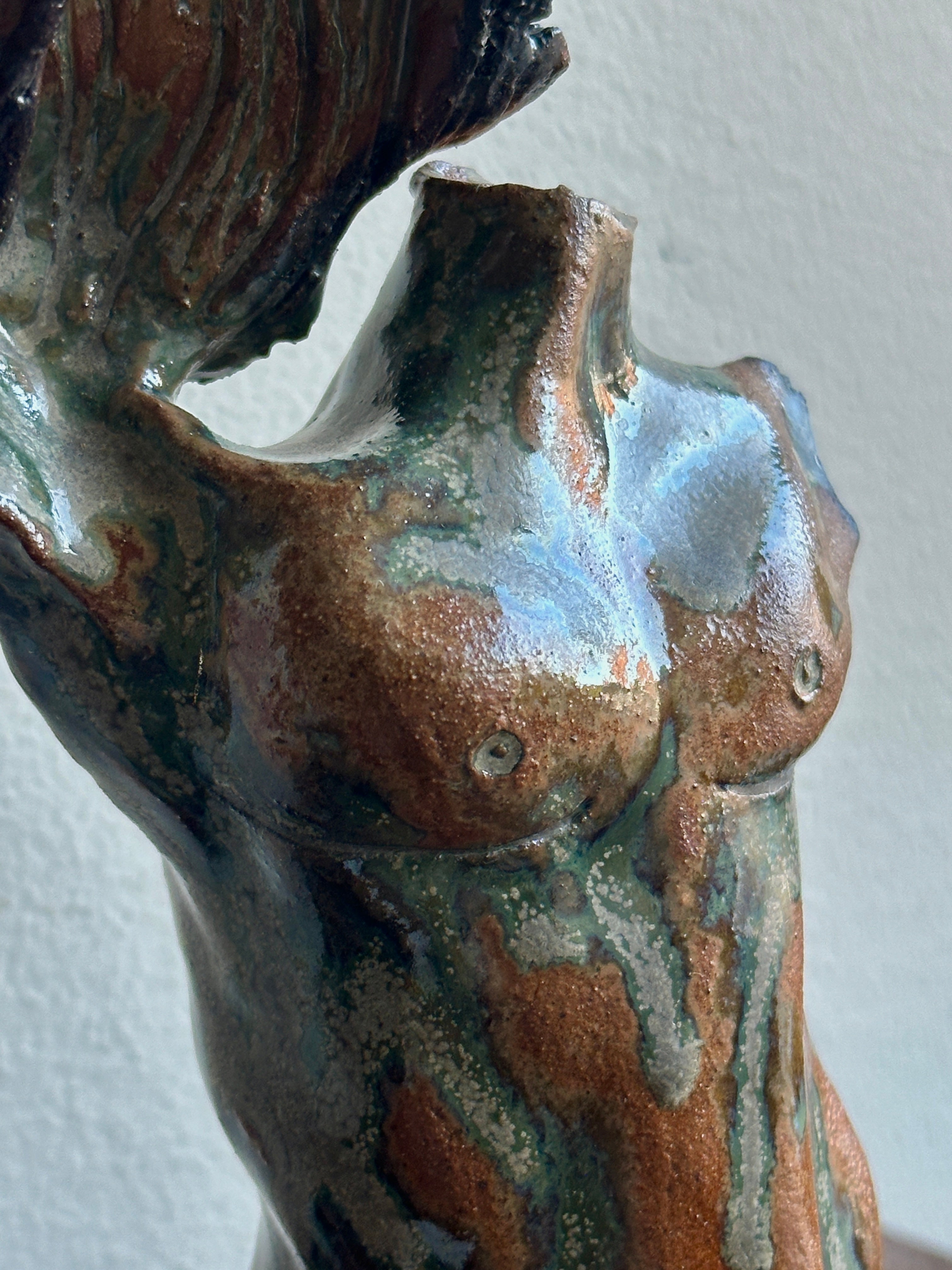 One Winged Torso