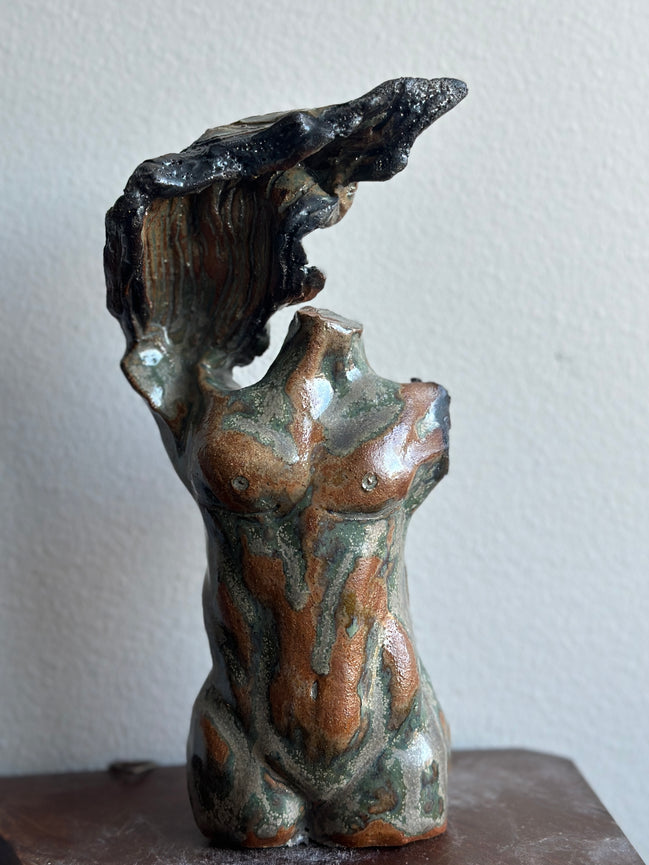 One Winged Torso