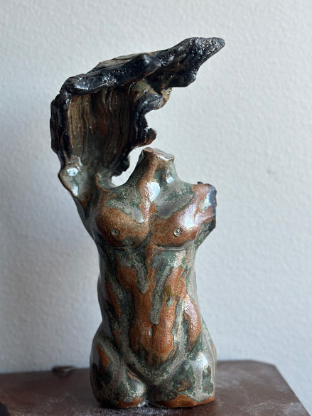 One Winged Torso