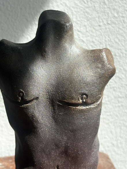 Bronze Torso No. 02